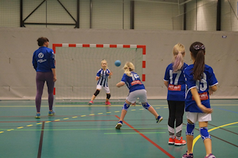 Årlig møte håndball